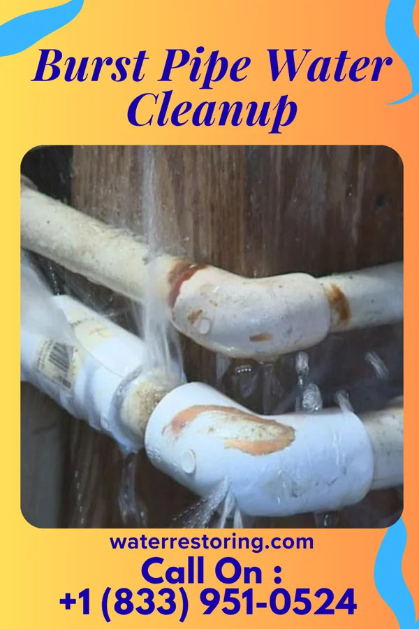 Burst Pipe Water Cleanup in Oxford Junction, IA