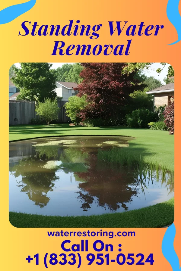 Standing Water Removal in Oxford Junction, IA